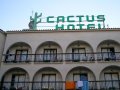 Cactus (Кактус), Ларнака